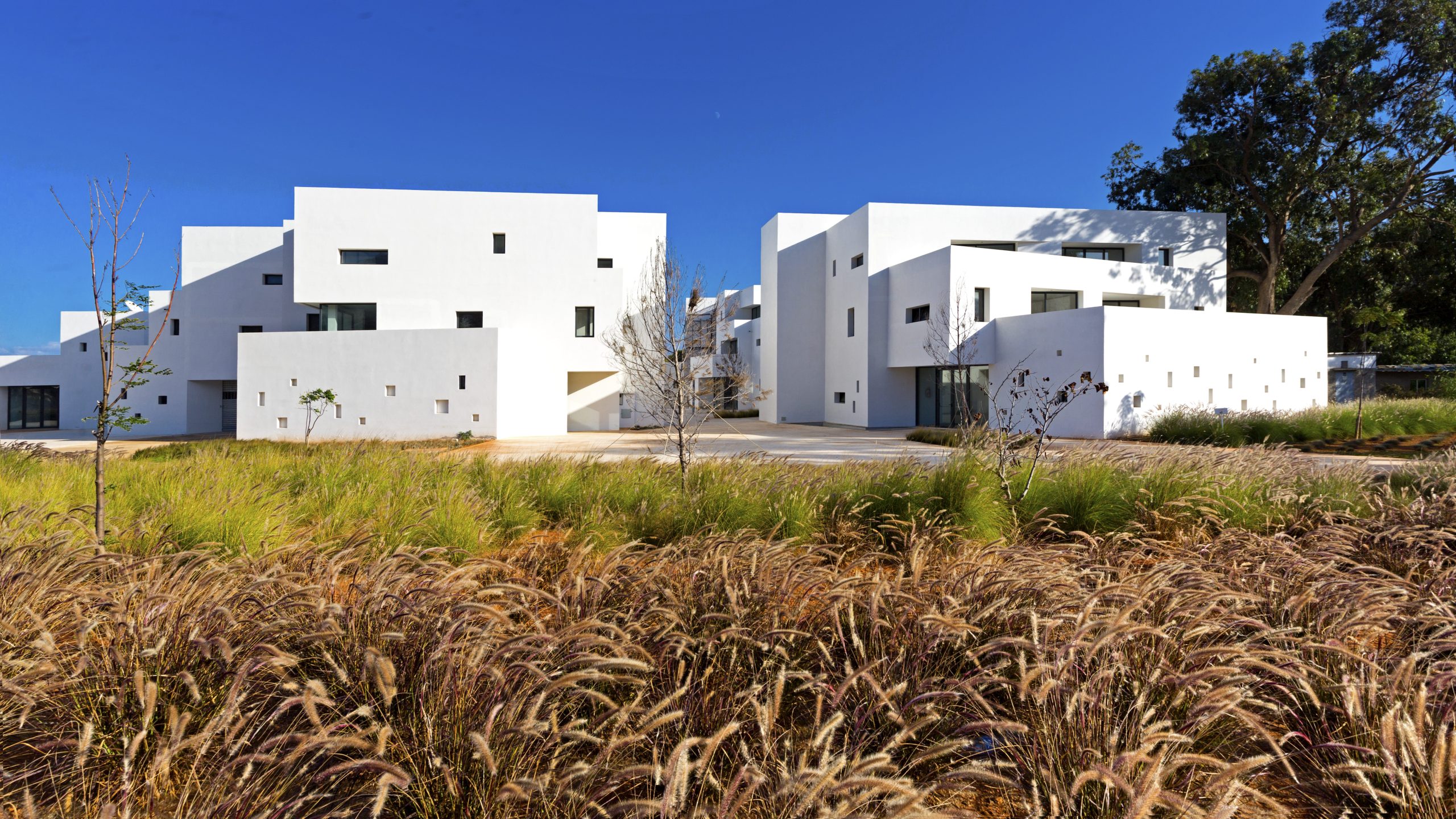 Sfiha Center Souani Méditerranée