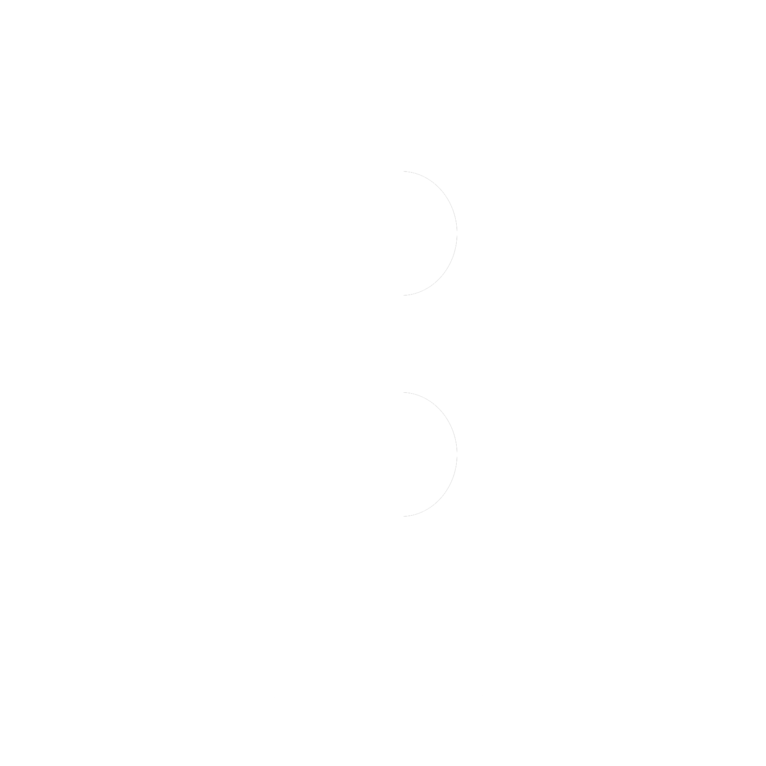 Premi Ciutat de Barcelona 2008